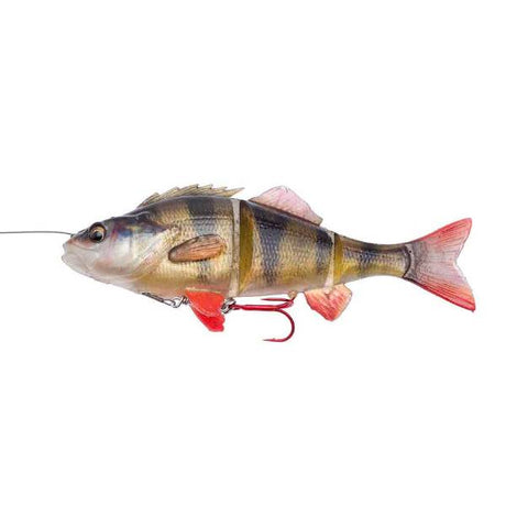 Savage Gear 4D Line Thru Barsch – Schwimmköder Perch - 23cm