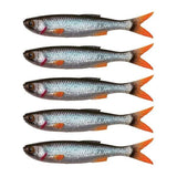 Savage Gear Craft Dying Minnow Shad 7,5cm 2g Roach