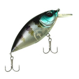 Viper Pro Zeppelin 6,5 cm – Rattlin Köder für Hecht, Zander & Barsch