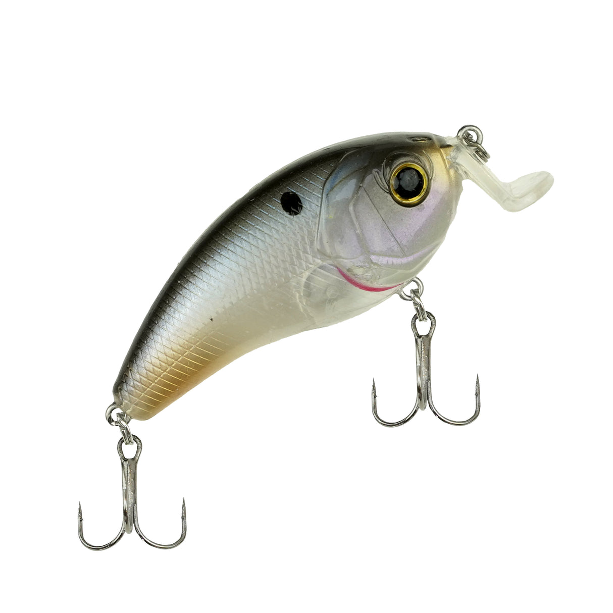 Viper Pro Fat Joe 8 cm – Rattlin Crankbait für Hecht, Zander & Barsch