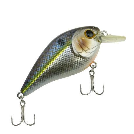 DLT Spinnruten Set Pro mit Rute Rolle Schnur Wobbler Softbaits Komplettset für Raubfischangeln
