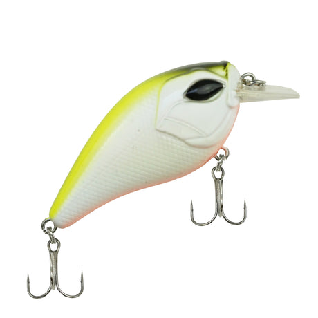 DLT Spinnruten Set Pro mit Rute Rolle Schnur Wobbler Softbaits Komplettset für Raubfischangeln