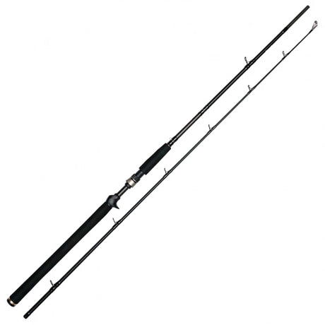 W3 Jerkbait-T 2nd H | 195cm | 20-80g | 2-teilig | Jerkbait-Rute