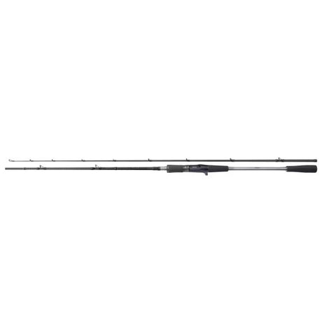 Shimano Yasei Pike Casting Rute 2.50m 40-120g