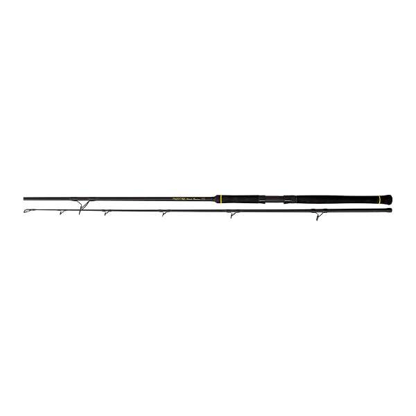 Black Cat Black Passion Spin Welsrute 50-200g