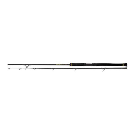 Black Cat Black Passion Spin Welsrute 50-200g