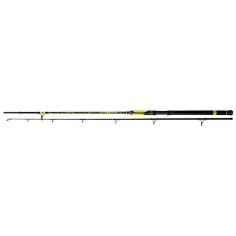 Black Cat Perfect Passion Spin Rute 2,70m 60-200g