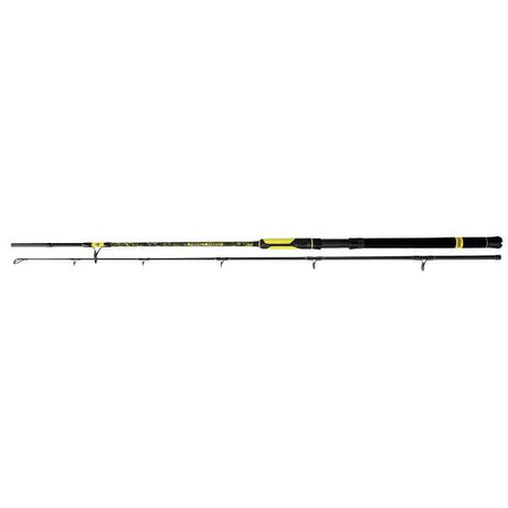 Black Cat Perfect Passion Boat Spin Welsrute 2,40m 50-190g