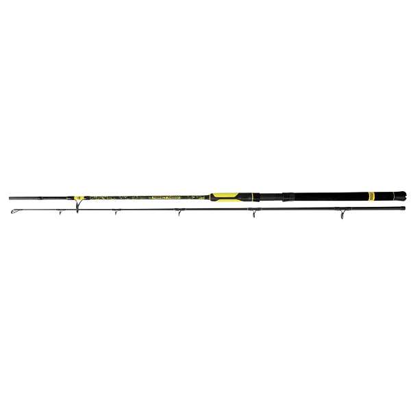 Black Cat Perfect Passion Boat Spin Welsrute 2,40m 50-190g