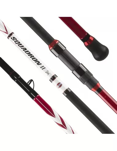 Penn Squadron II Surf 423 Brandungsrute 100-250g