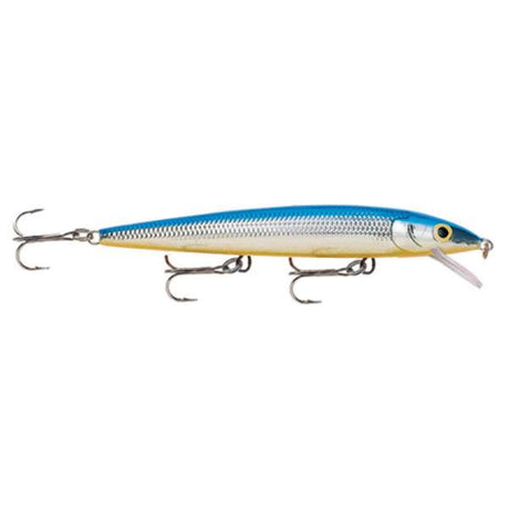Rapala Husky Jerk 10cm – suspending Wobbler für vielseitiges Raubfischangeln