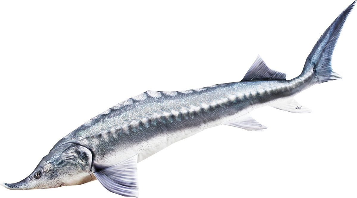 Gaby Beluga Stör Kissen – 140 cm