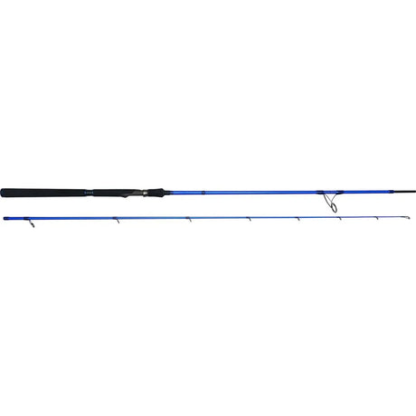 Westin W6 PowerStick H Spinnrute 15-60g